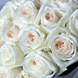 Ароматні та неперевершені троянди Вайт Охара 00001213 фото 1